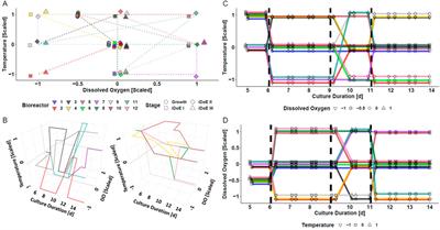 Boost dynamic protocols for producing mammalian biopharmaceuticals with intensified DoE—a practical guide to analyses with OLS and hybrid modeling